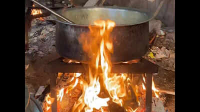 LPG crisis hits workers in city, many turn to wood for cooking