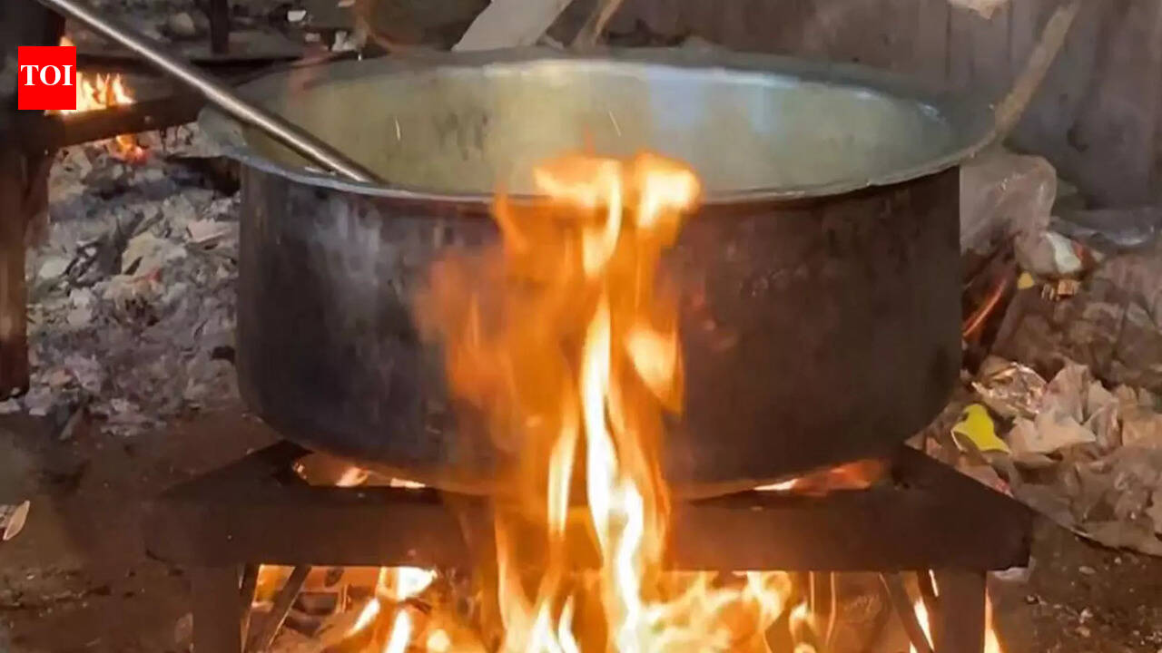 LPG crisis hits workers in city, many turn to wood for cooking