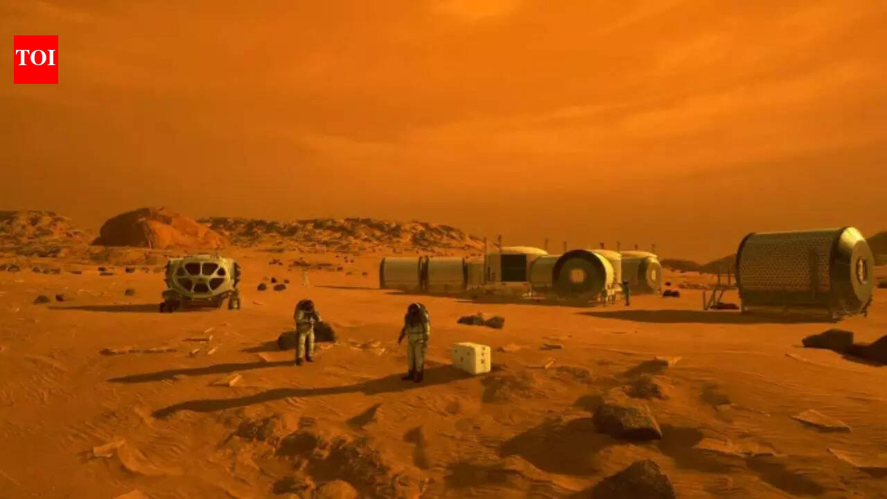Are there insects and reptiles on Mars? What the research actually says