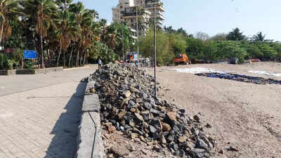 Volunteers removed 250 kg of marine waste in Carter Road coastal clean-up.