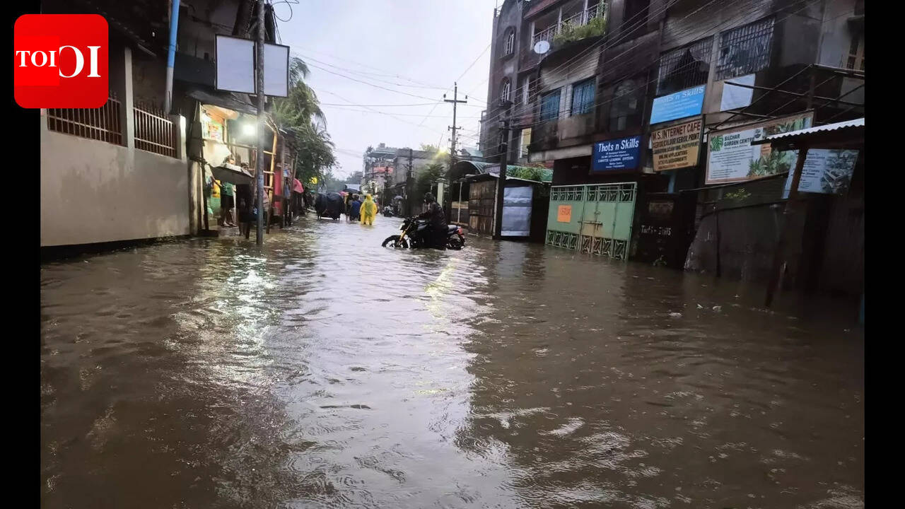Rain triggers flash floods in Silchar, residents blame clogged drains