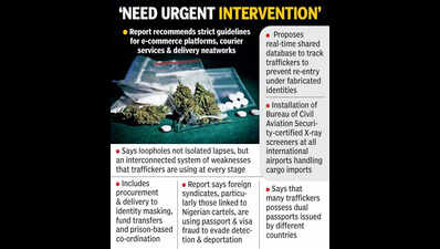 Drug cartels exploit loopholes in courier services & travel checks: EAGLE report