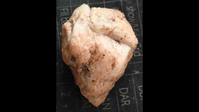 Upper Palaeolithic quartz tool discovered on hill near Manchirevula