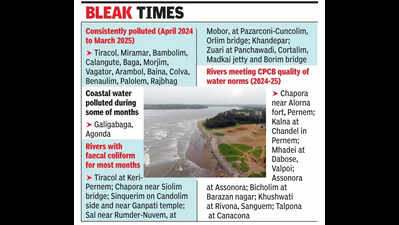 Most Goa beaches polluted, unfit for bathing, fishing, water sports