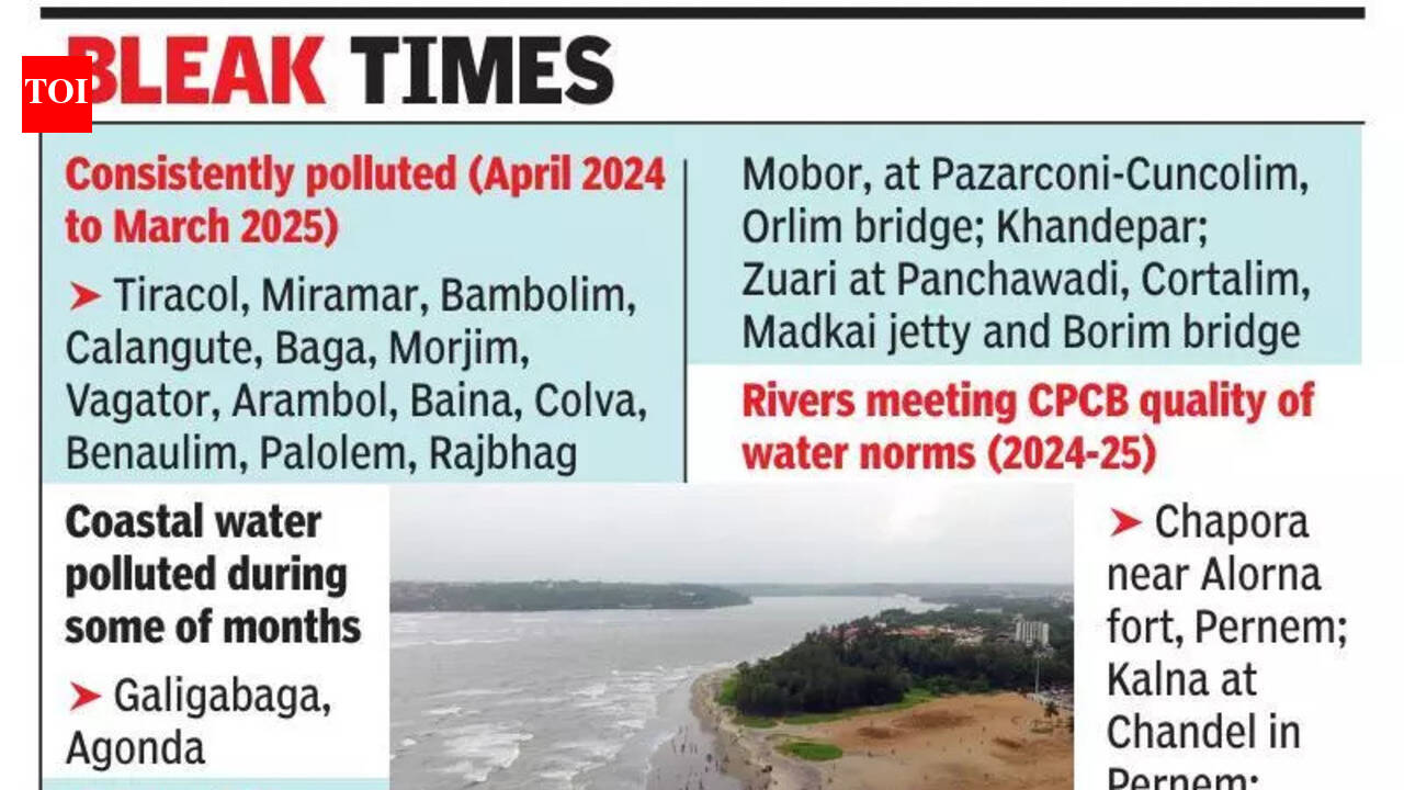Most Goa beaches polluted, unfit for bathing, fishing, water sports