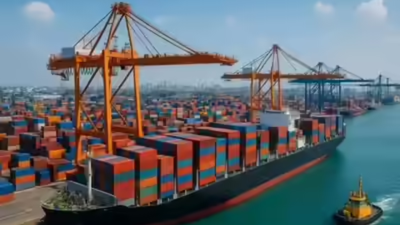 Rising shipping costs worry meat exporters