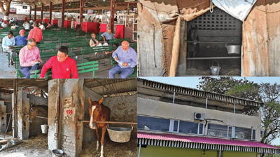 From milestone to melancholy: Delhi race club told to vacate