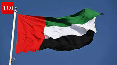 यूएई समाचार: यूएई में फंसे प्रवासियों ने भारत से घर लौटने की कष्टदायक यात्रा का खुलासा किया