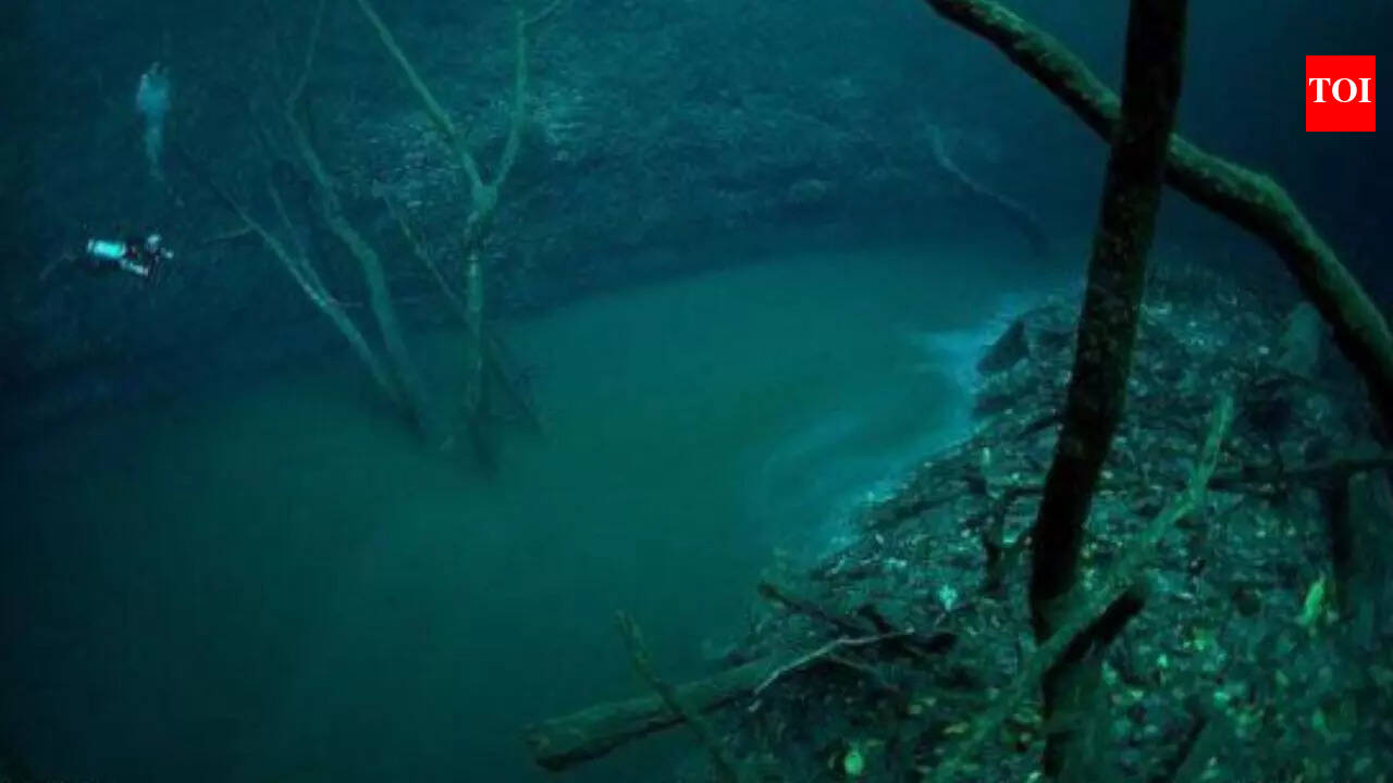 Are There Underwater Rivers
