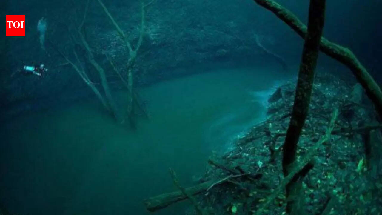 The ‘sixth largest river’ on Earth is hidden 115 feet beneath the Black Sea