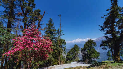 Anand Mahindra is overwhelmed by this beautiful Indian festival and why the world needs to know about it