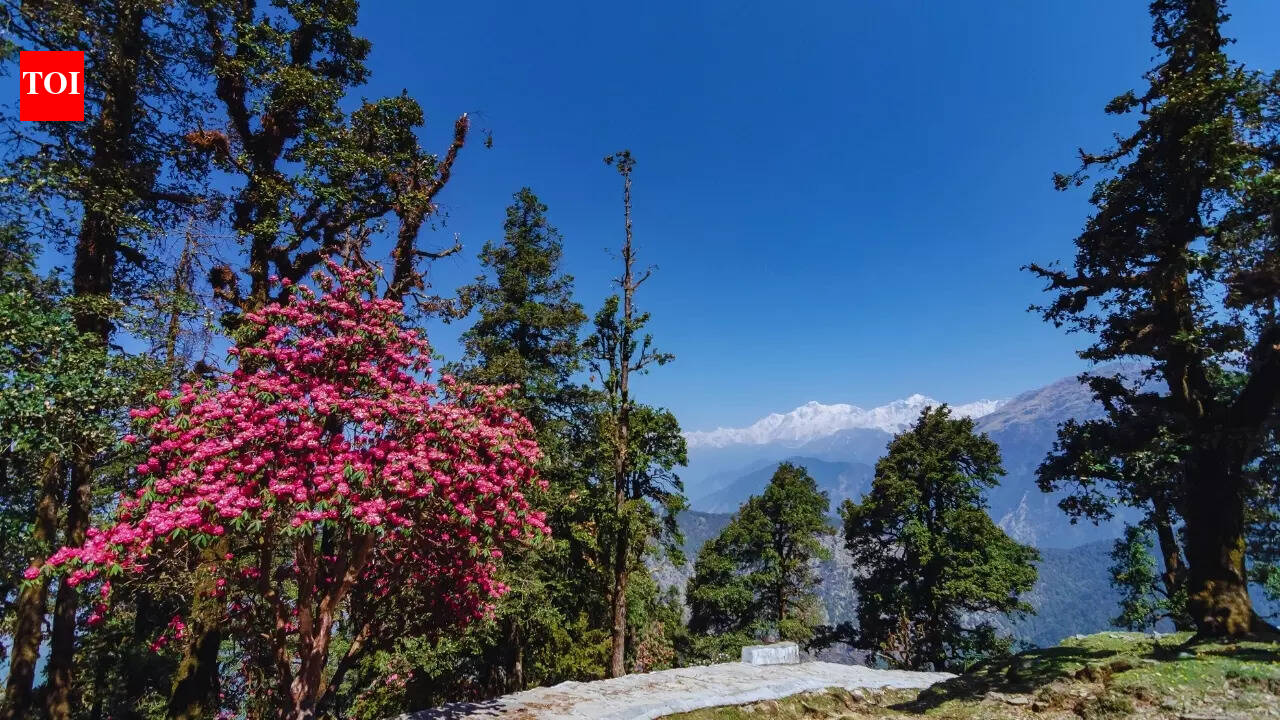 Anand Mahindra is overwhelmed by this beautiful Indian festival and why the world needs to know about it