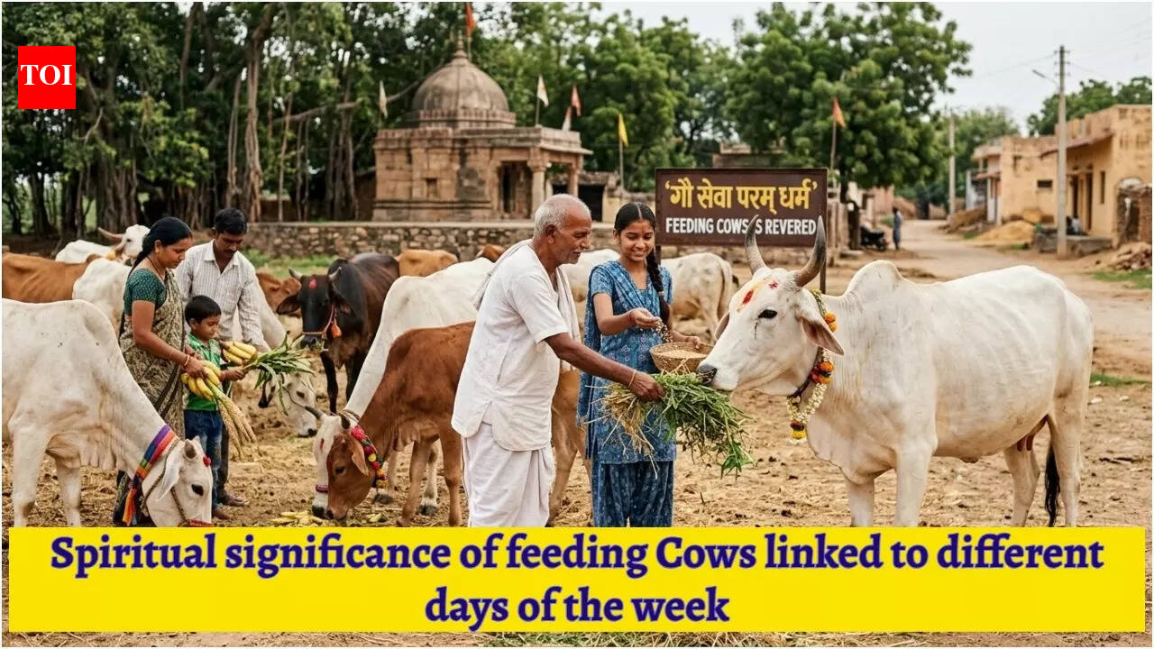 From Monday to Sunday; Spiritual significance of feeding Cows linked to different days of the week