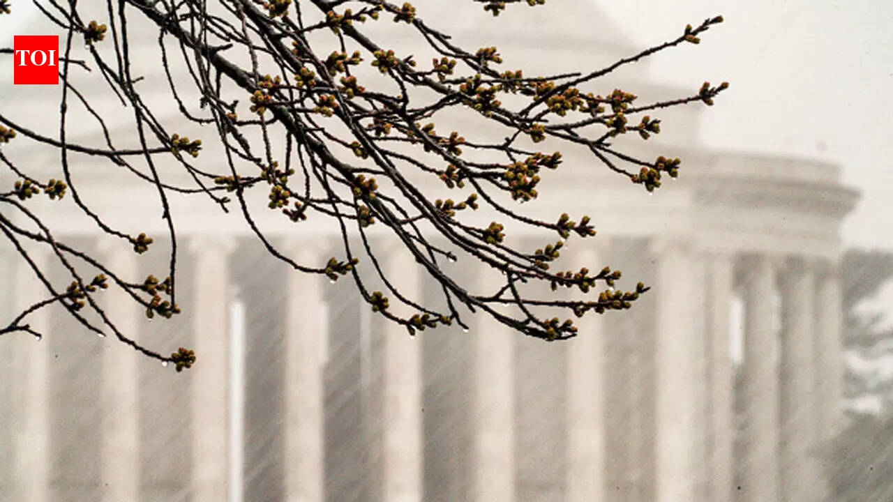 भीषण तूफ़ान के कारण वाशिंगटन, डीसी क्षेत्र में स्कूलों की समय से पहले छुट्टी कर दी गई और उन्हें बंद कर दिया गया