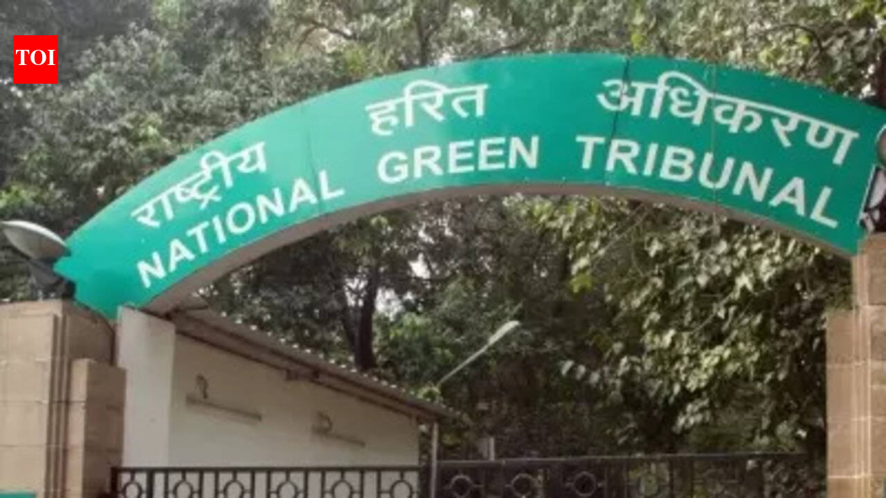 NGT notice to Odisha govt over illegal laterite mining and tree felling in Khurda