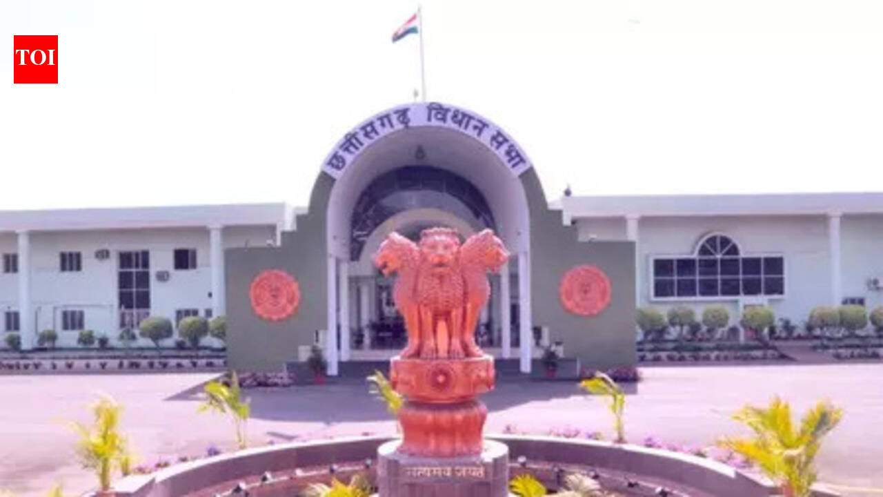 Chhattisgarh assembly sees twin walkouts over anganwadi centres, ration allocation halt