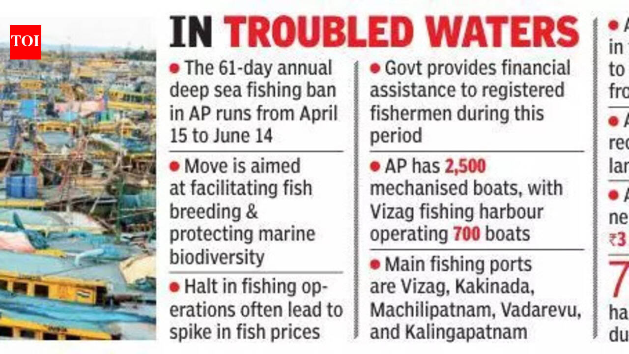 Low catch anchors 70% mechanised boats a month before fishing ban in AP ...