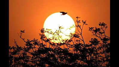 Cleanest Air In 6 Months, City Freed Of GRAP