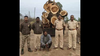 Forest department increases patrolling as LPG shortage raises firewood trespassing, three cases over three days