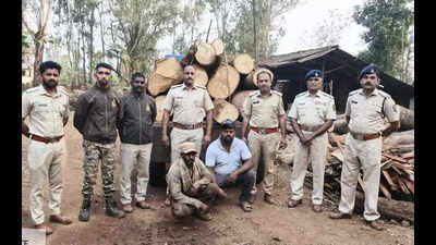 Forest department increases patrolling as LPG shortage raises firewood trespassing, three cases over three days