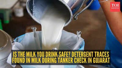 Is the milk you drink safe? Detergent traces found in milk during tanker check in Gujarat