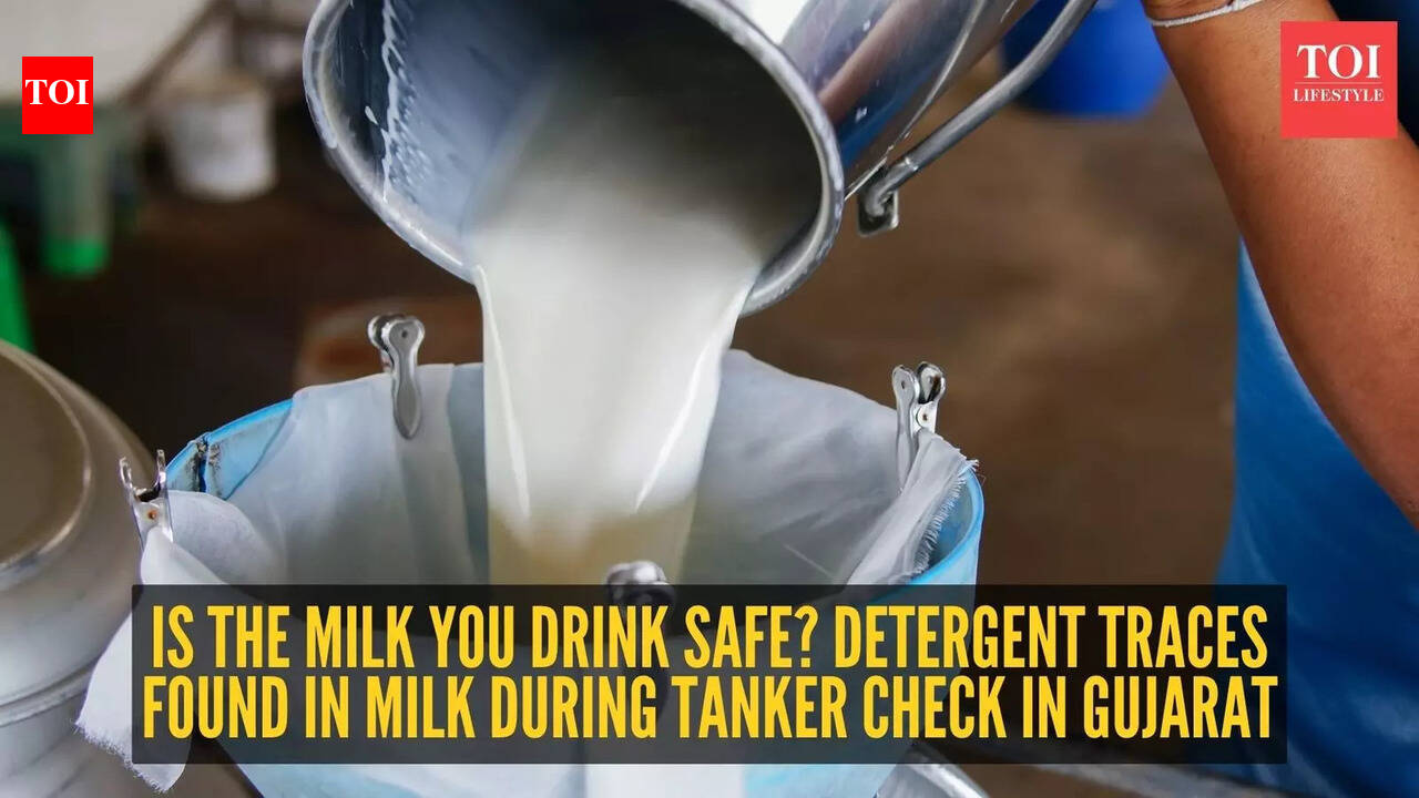 Is the milk you drink safe? Detergent traces found in milk during tanker check in Gujarat