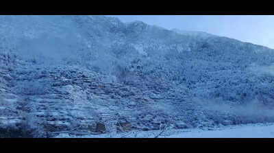 Snow, rain bring cheer to apple growers in Uttarkashi