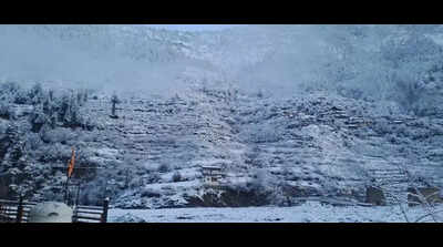 Snow, rain bring cheer to apple growers in Uttarkashi