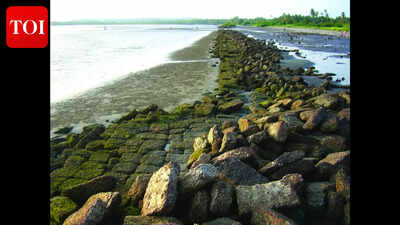 State for protected status to Gopakapattana port remains