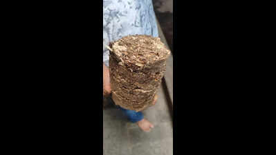 LPG crisis: How these Bengaluru kitchens have kept on cooking