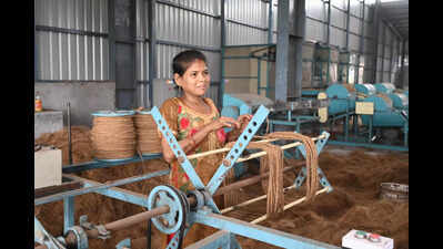 BMC issues toll-free number to report coconut waste