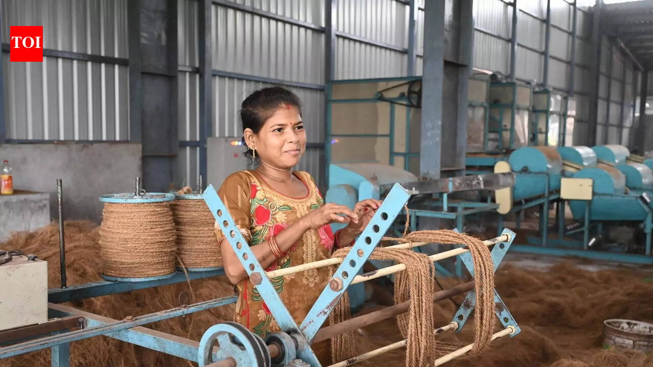 BMC issues toll-free number to report coconut waste