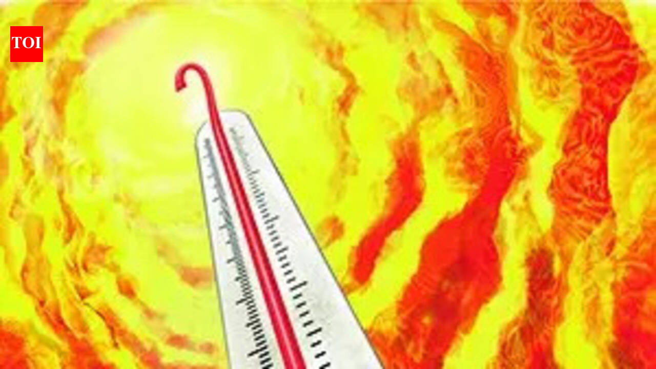 CS reviews heatwave readiness, orders preventive steps