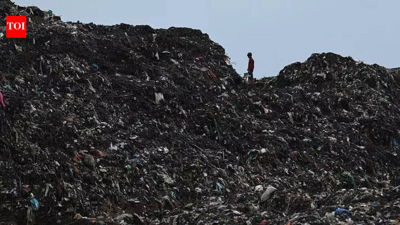 CAG flags gaps in waste management in Punjab’s urban bodies