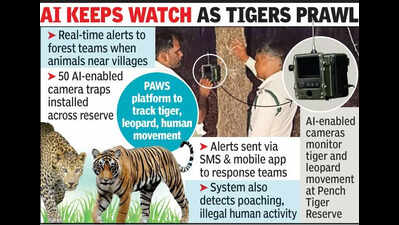 Pench staff roll out AI tool to monitor wildlife, prevent man-animal conflict