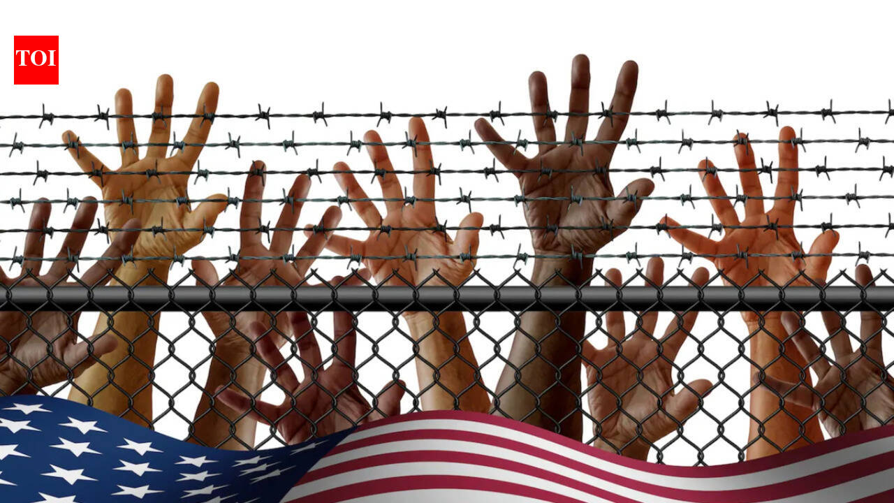 Africa, India and China: Foreign nationals from multiple countries accused of voting illegally in US for years