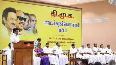 Tamil Nadu polls: CM MK Stalin asks partymen to focus on weaker booths and avoid internal conflicts during campaigning