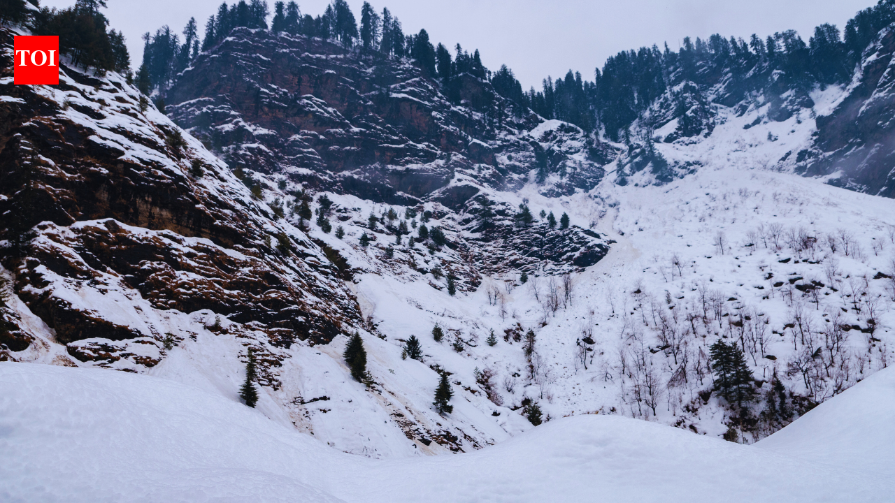 अटल सुरंग बर्फबारी अपडेट: हिमाचल: पर्यटकों ने कारों में रात बिताई क्योंकि अटल सुरंग के पास बर्फ में वाहन फंस गए; बर्फ हटाने का काम जोरों पर |
