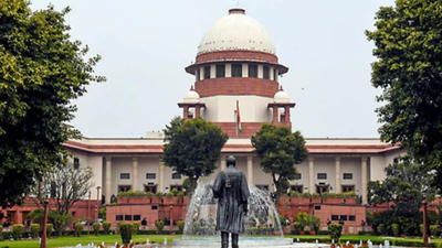 Supreme Court Strikes Down Three-Month Rule, Grants Equal Maternity Leave To Adoptive Mothers Too