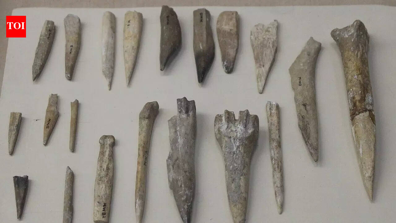 Saudi News: 13,500-year-old settlement found in Nefud Desert, 190km trade links stun archaeologists