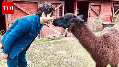 'The Devil Wears Prada' actor Adrian Grenier on the one condition for an acting comeback: 'I’d like to stay close to home'