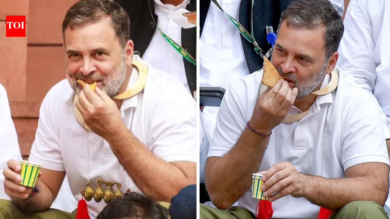 ‘Rahul Gandhi must apologise to the nation’: 204 retired officers, Army veterans and advocates slam LOP in open letter on Parliament conduct