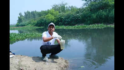 Zero dissolved oxygen at Hindon river stretches: Survey