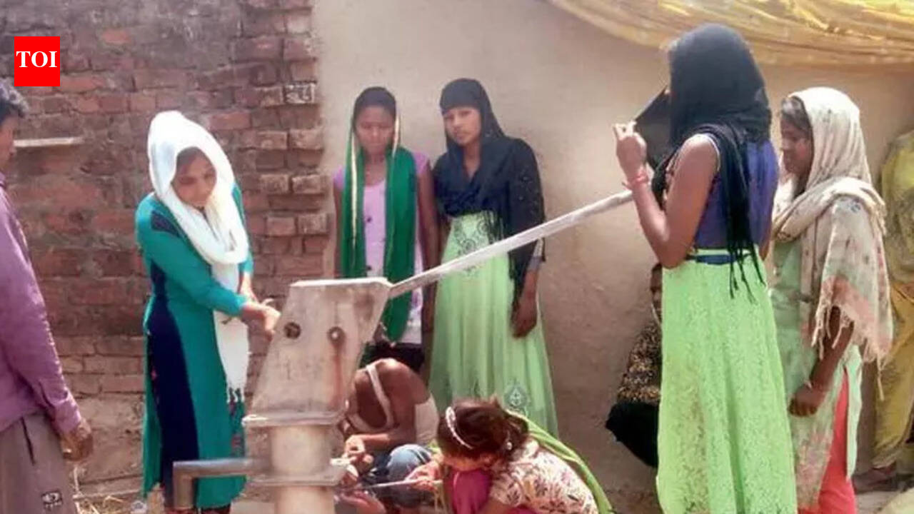 Chatra residents can report defunct hand pumps through online portal