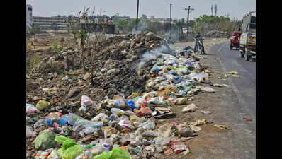 Chakan Municipal Council plans dog shelter expansion, mass vaccination and sterilisation after woman’s death