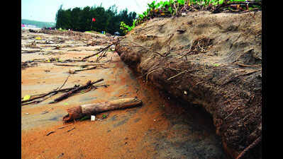 3% of Goa’s coast lost to erosion, ‘stable coastline’ reduces by 7%