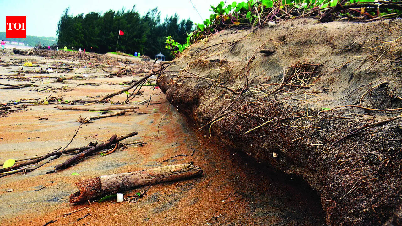 3% of Goa’s coast lost to erosion, ‘stable coastline’ reduces by 7%