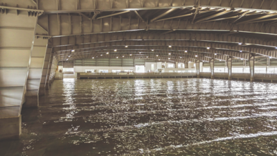  50 Years of Innovation in Naval Architecture & Offshore Technology