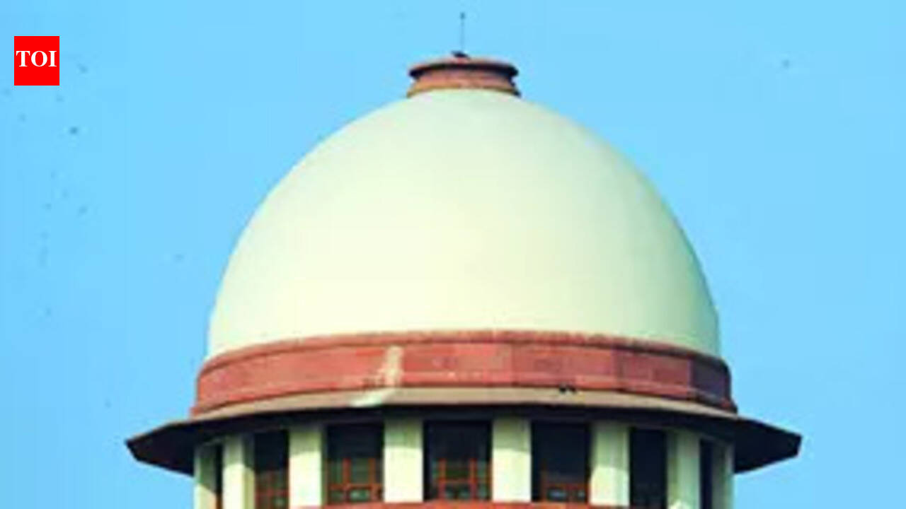 Woman entitled to maternity leave even if child isn't biological: SC