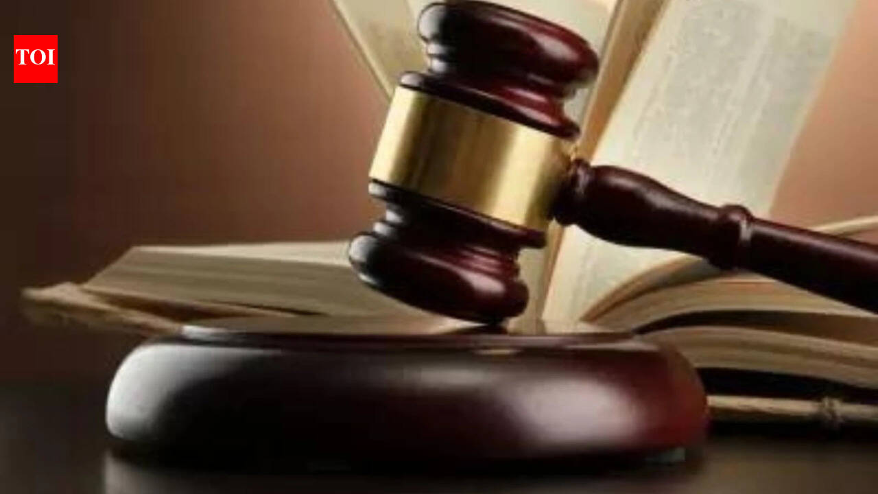 Remove posts linking mantri's daughter to Epstein in 24 hours: HC